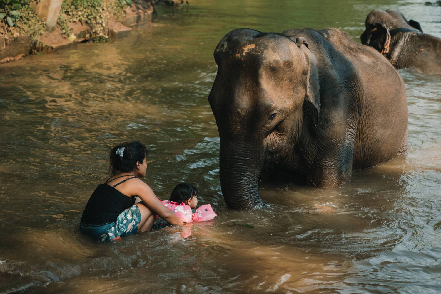Reportage-photo-Ganesha-Park-Kanchanaburi-2022.03.09-Reportage-photo-Thailande-2022-par-Antoine-Borzeix-101