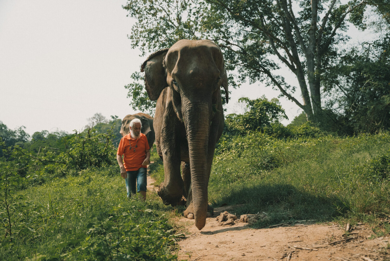 Reportage-photo-Ganesha-Park-Kanchanaburi-2022.03.09-Reportage-photo-Thailande-2022-par-Antoine-Borzeix-144