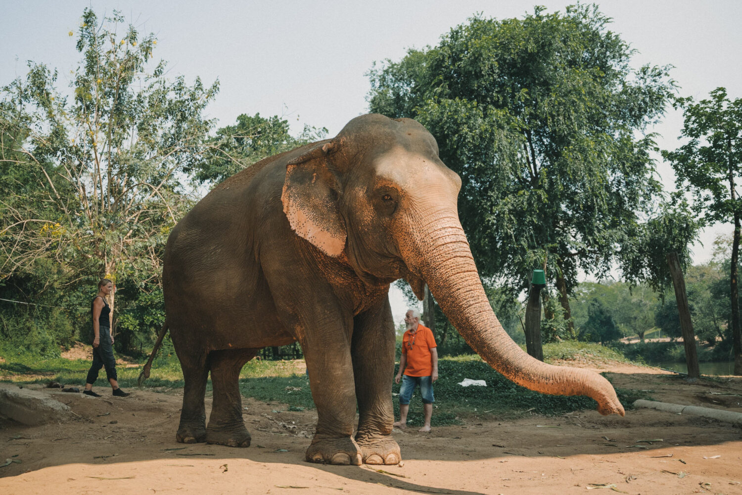 Reportage-photo-Ganesha-Park-Kanchanaburi-2022.03.09-Reportage-photo-Thailande-2022-par-Antoine-Borzeix-145