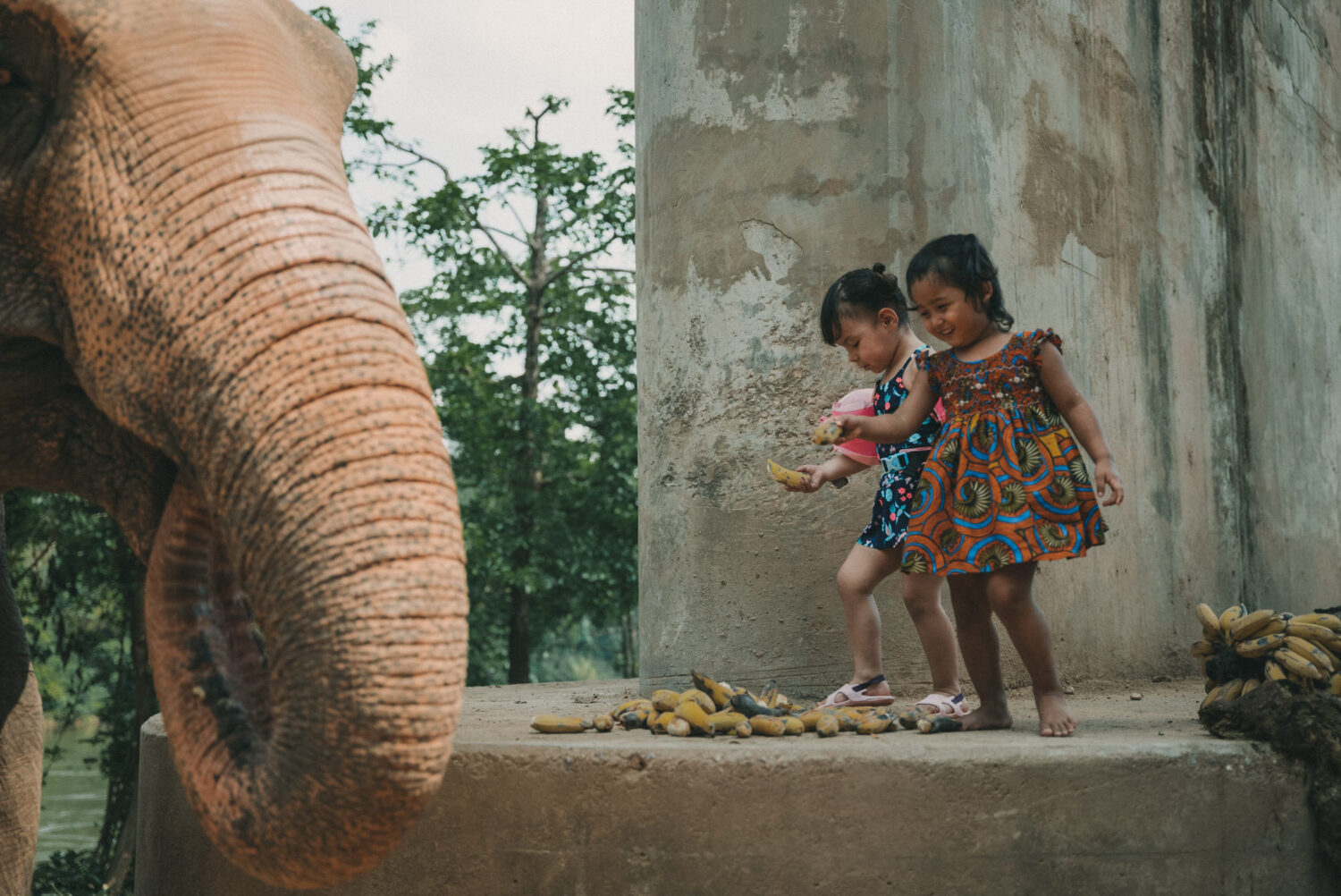 Reportage-photo-Ganesha-Park-Kanchanaburi-2022.03.09-Reportage-photo-Thailande-2022-par-Antoine-Borzeix-159