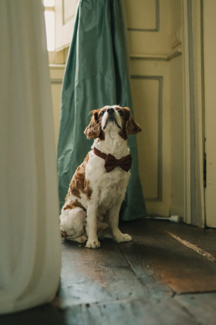 Photo-de-mariage-de-Audrey-Mael-La-Belle-Noe-a-Dol-de-Bretagne-par-Antoine-Borzeix-2022.09.10-230-scaled