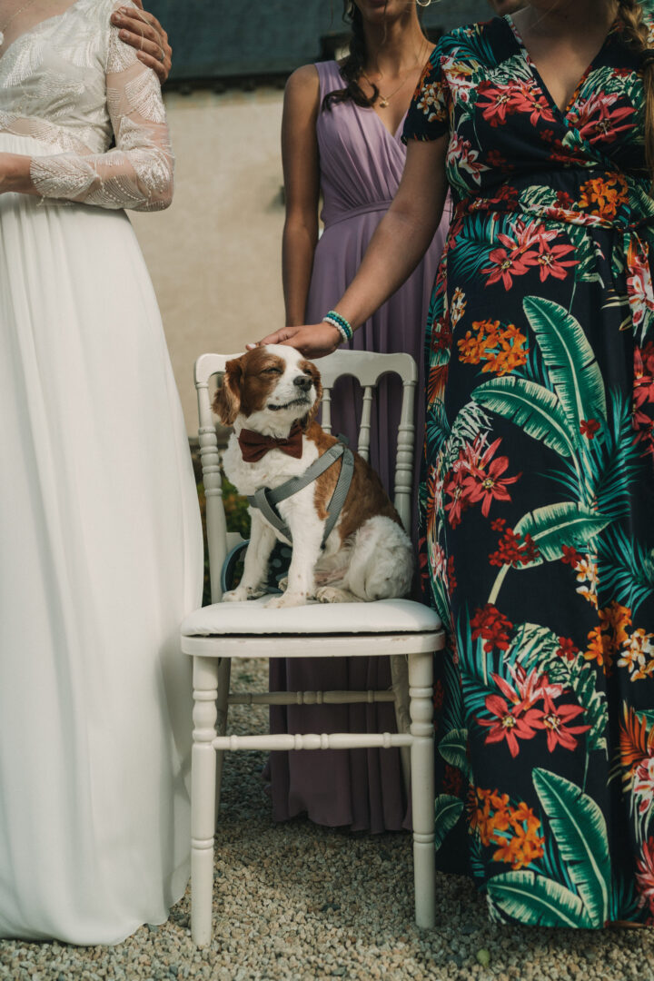 Photo-de-mariage-de-Audrey-Mael-La-Belle-Noe-a-Dol-de-Bretagne-par-Antoine-Borzeix-2022.09.10-977-scaled