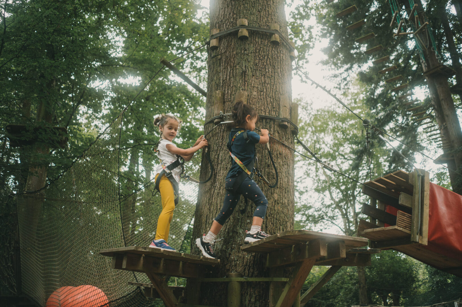Bonobo parc acrobranche à Quimper par Antoine Borzeix 17