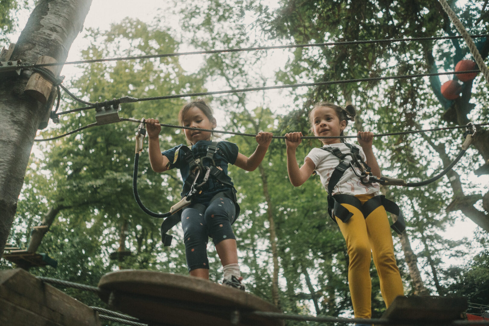 Bonobo parc acrobranche à Quimper par Antoine Borzeix 40