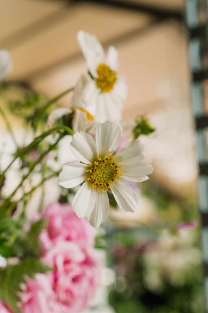 Décoration salle de mariage par Antoine Borzeix photographe de mariage à Quimper-15
