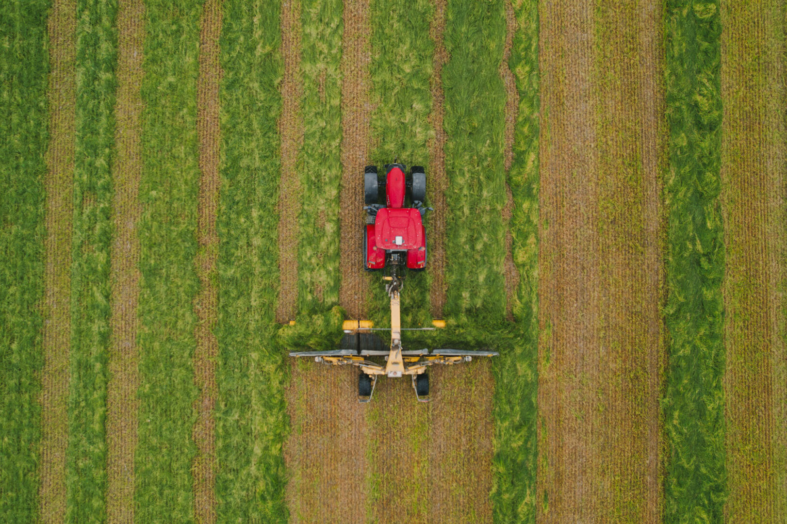Photo d'agriculteur dans le Morbihan - Case IH Farm Forum par Antoine Borzeix-16