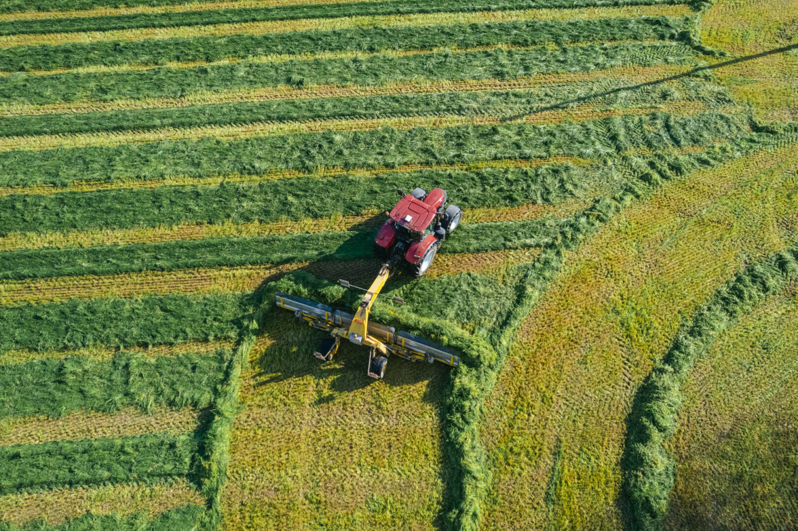 Photo d'agriculteur dans le Morbihan - Case IH Farm Forum par Antoine Borzeix-18